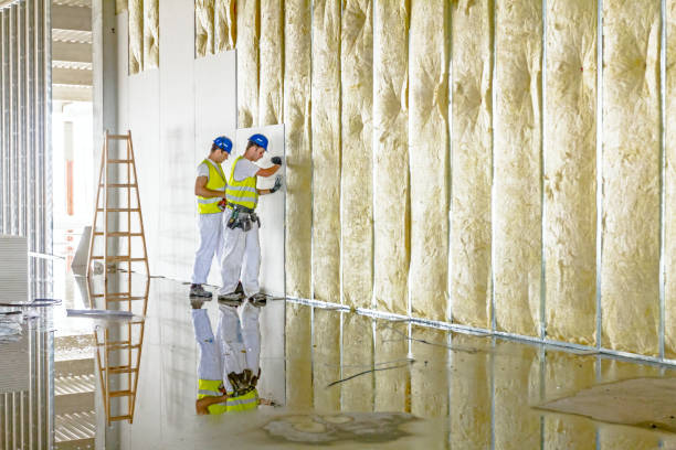 Best Cellulose Insulation in Star City, WV